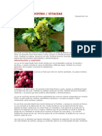Uva, Vitis Vinifera / Vitaceae: Alimentación y Nutrición