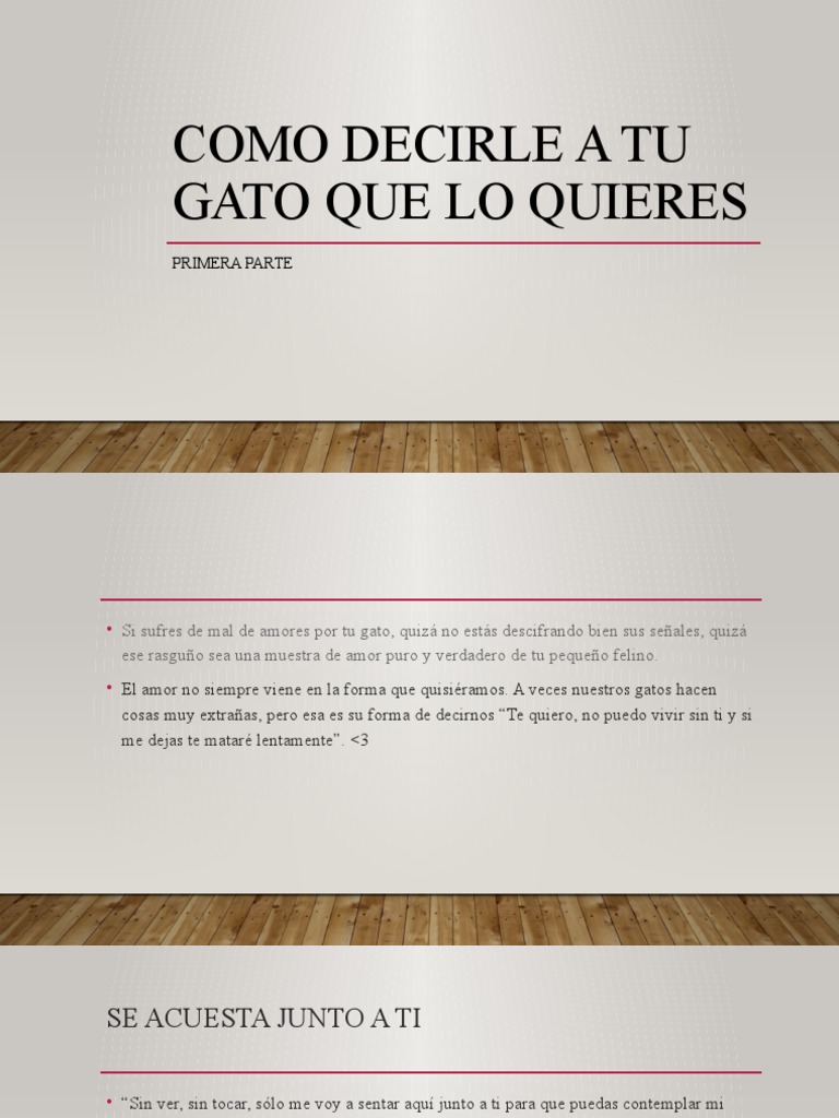 Michi 1 | PDF