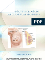 Anatomía y Fisiología de Las Glándulas Mamarias