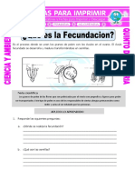 Ficha Que Es La Fecundacion para Quinto de Primaria