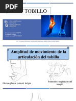 Test Ortopédicos para Tobillo y Pie | PDF | Tobillo | Pie