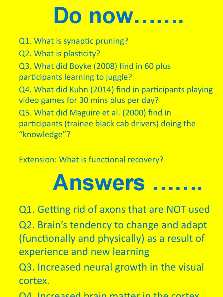 Brain Plasticity and Functional Recovery - Evaluation and Questions ...