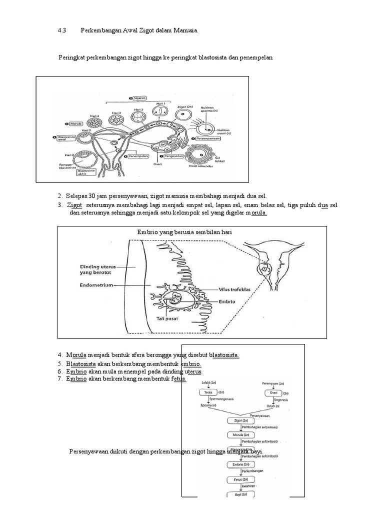 Bio 4 3 4 4 Pdf