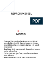 Reproduksi Sel