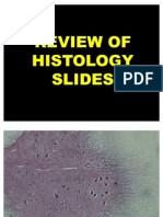 Histo Slides Volume III