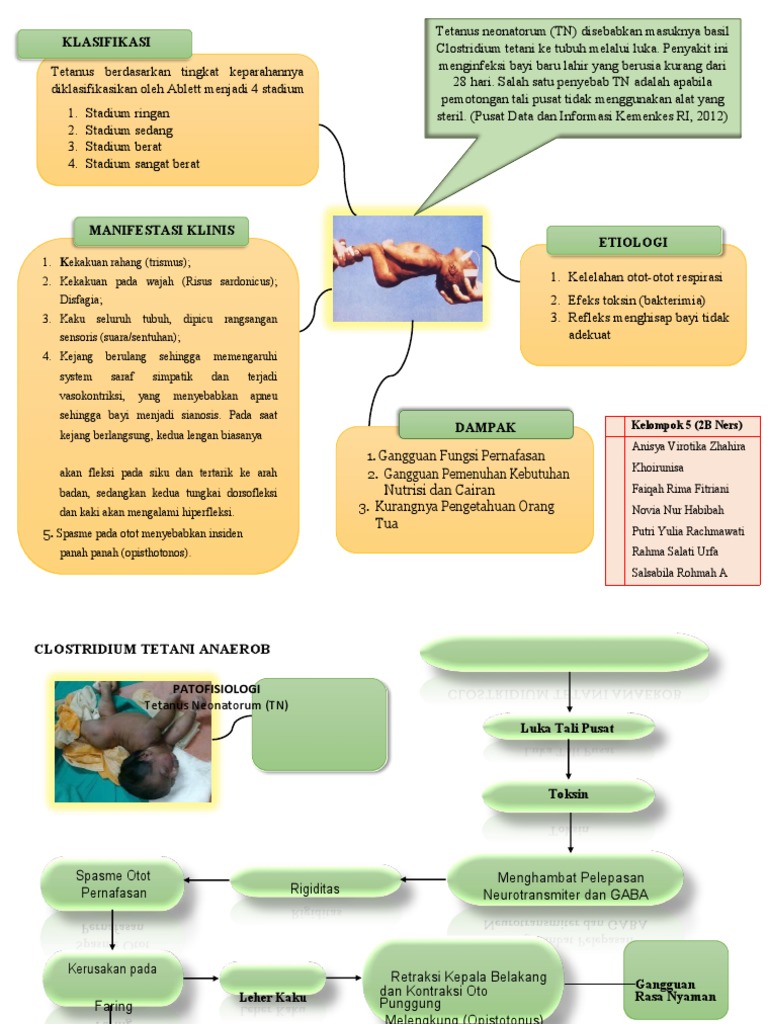Klasifikasi dan Patofisiologi Tetanus Neonatorum | PDF | Sains & Matematika