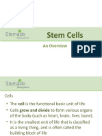 Stem Cells: An Overview