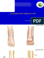 Anatomia Del Tobillo y Pie