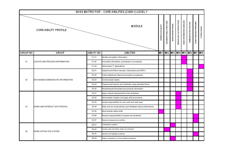 Noss Matrix L1 | PDF | Competence (Human Resources) | Cognitive Science