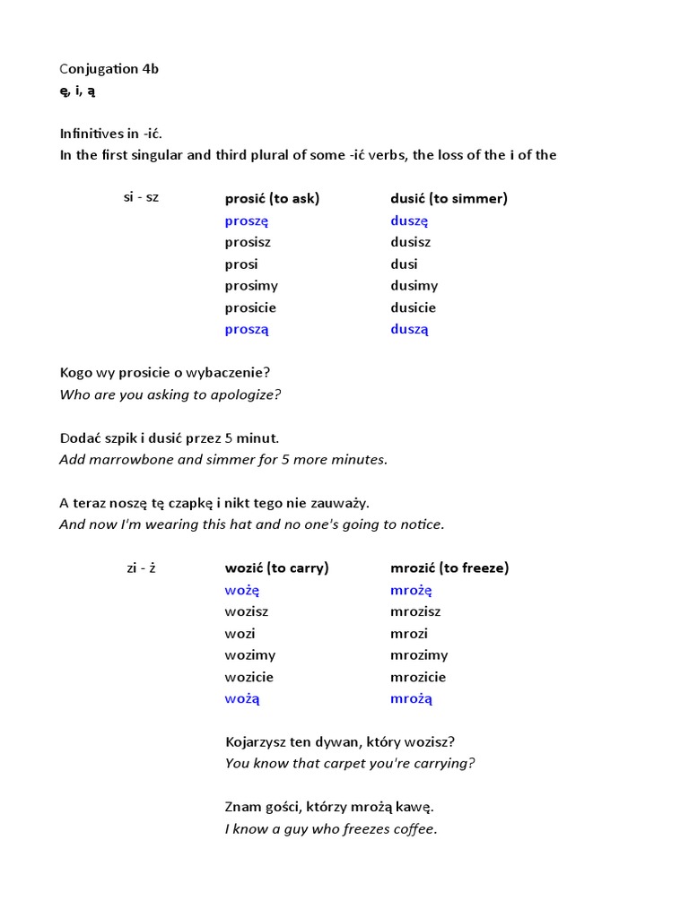 Polish Conjugation PDF