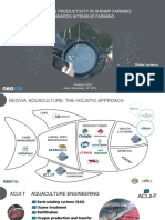 15 IMPROVING PRODUCTIVITY IN SHRIMP FARMING TOWARDS INTENSIVE FARMING Didier Leclerrq