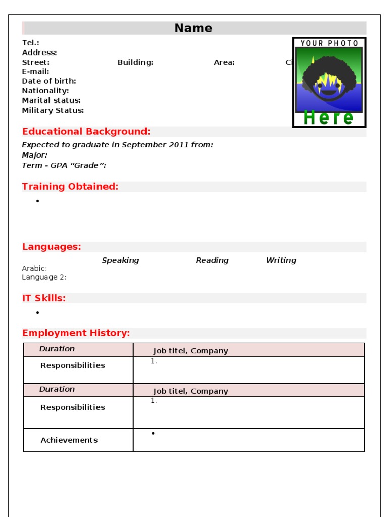 Comprehensive CV Template Guide | PDF
