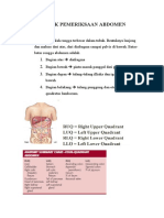 Teknik Pemeriksaan Abdomen