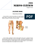 025 - Anatomy book - Nervo Ciático
