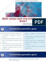 ERCC2 Patrinichi Gabriela