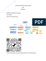 Mapa Conceptual