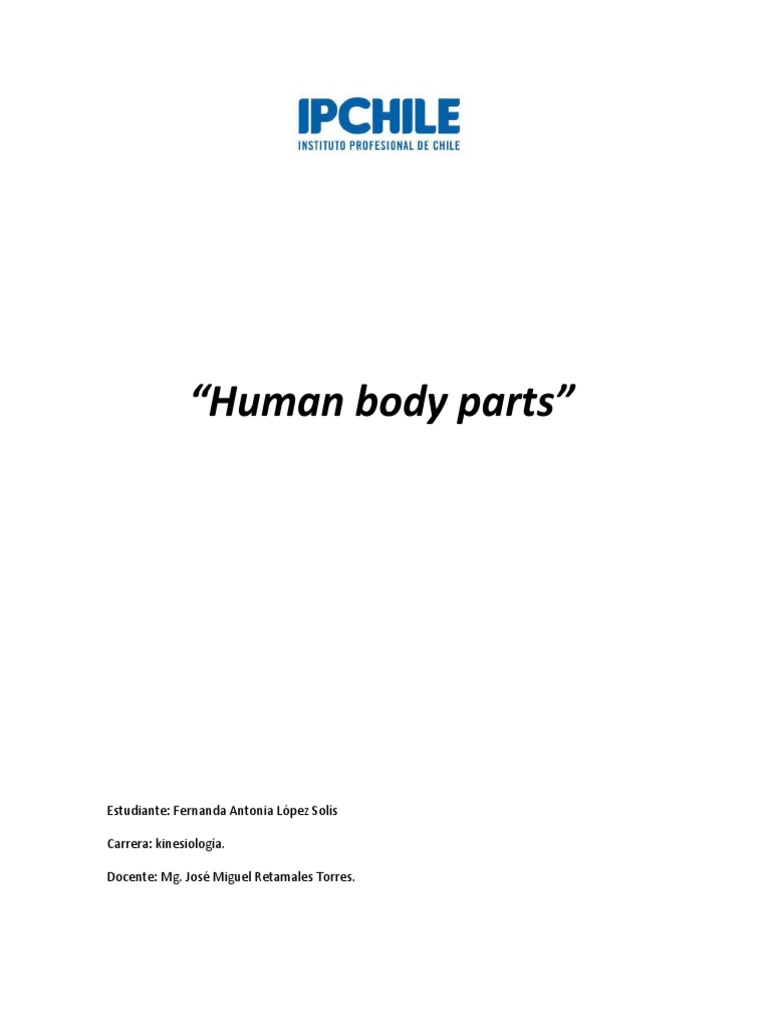 Human Body Parts PDF Human Anatomy Nature