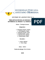 Rodríguez - Tinta - Pichihua - Mancha - Huamullo - Huerta - Informe 3