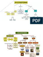 ECOSISTEMA