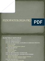 Prelegerea 12,13. Fiziopatologia Ficatului (2 Prelegeri)