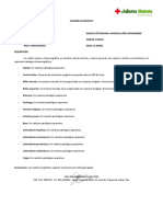 Informe Ecográfico Florecita 27 Mar 21