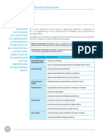 Areas Curriculares y Competencias