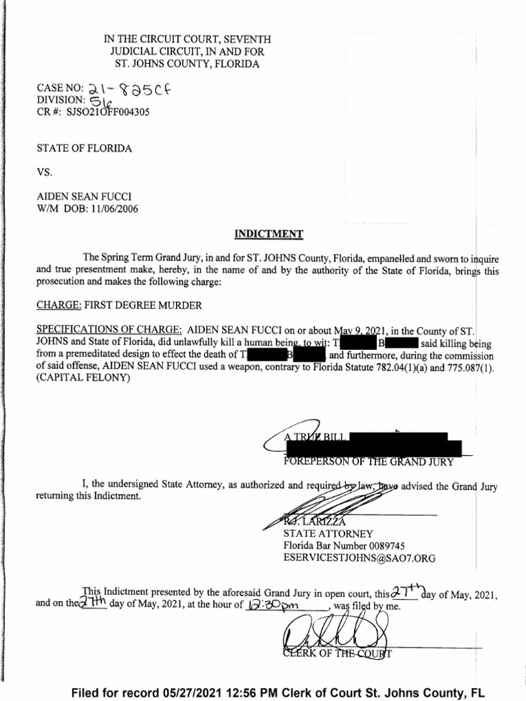 Grand Jury Indictment For Aiden Fucci | PDF
