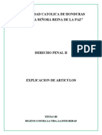 Explicacion 1 Derecho Penal