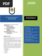 enzimas