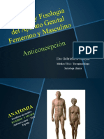 Anatomia Ap Genitale Fem Y Masc