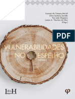 Vulnerabilidades reveladas