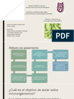 Practica 8. Aislamiento de Microorganismos Fotosintéticos. Rosales Ocampo Iván.4QM1