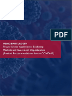 Private Sector Assessment: Exploring Markets and Investment Opportunities (Revised Recommendations Due To COVID-19)