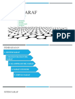 SISTEM SARAF Kelompok V