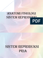 Anatomi Fisiologi Sistem Reproduksi 2