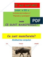 ppt_ce_sunt_mamiferele (1)