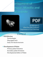 Development of Oral Structures