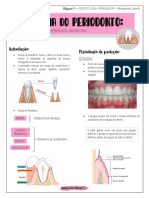 1 - Anatomia Do Periodonto (Resumo)