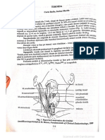 Din Carte Endocrine