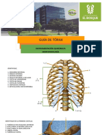 Guia de Tórax
