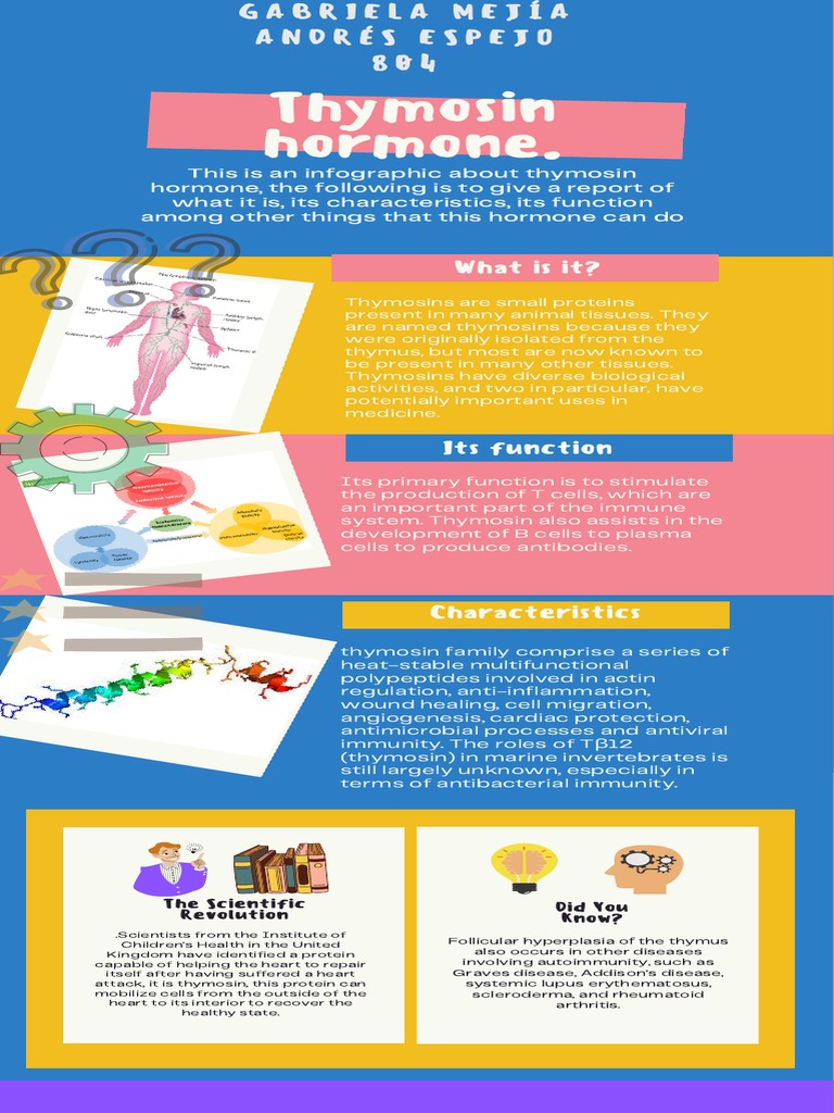 Thymosin Hormone Infographic PDF Immune System Thymus