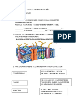 Trabajo Diagnostico 3 Adaptado