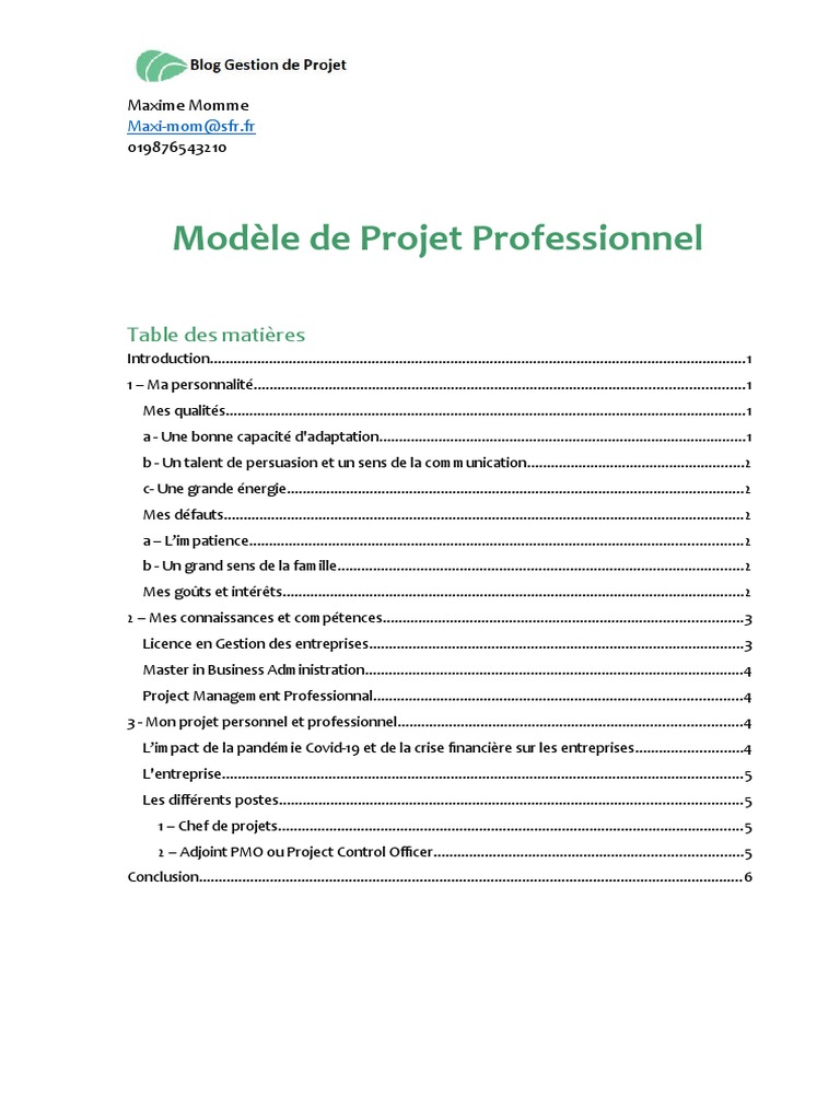BGDP Template Projet Professionnel | PDF | Chef de projet | Sociétés