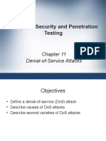 Computer Security and Penetration Testing: Denial-of-Service Attacks