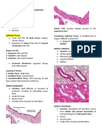 Tissues Anaphy Lab and Lec