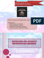 Universidad Andina Del Cusco Escuela Profesional de Obstetricia