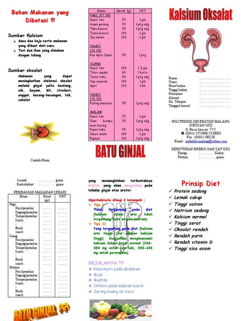 Batu Ginjal Kalsium Oksalat (B) PDF