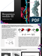 Bioquimica Modulo III
