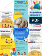 Triptico Discapacidad Intelectual