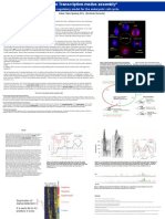 All in Transcription-Modus Assembly - Poster